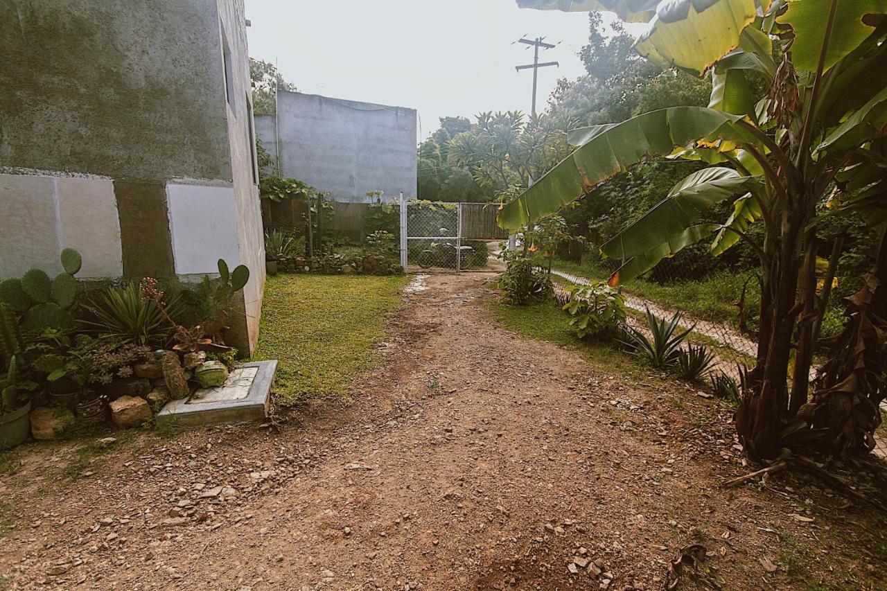 Cabana Campestre En Oaxaca Екстер'єр фото