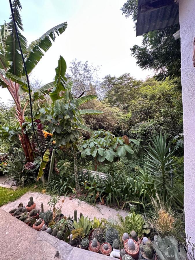 Cabana Campestre En Oaxaca Екстер'єр фото